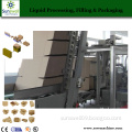 Automatic Carton Packing Machine